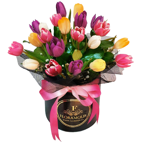 Caja  redonda con 21 tulipanes. Servicio en todas las comunas de Santiago de Chile. Color de Tulipanes puede variar según disponibilidad en la importación.